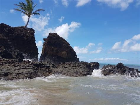 brazilian teen nude|Praia de Tambaba 